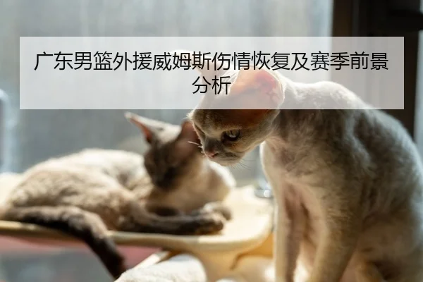 广东男篮外援威姆斯伤情恢复及赛季前景分析