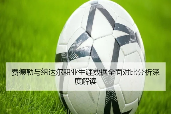 费德勒与纳达尔职业生涯数据全面对比分析深度解读